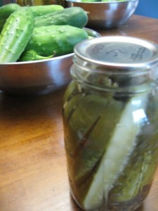 Heather's Dill Pickles close up