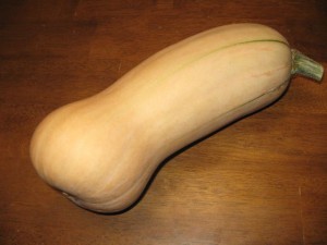 Butternut Squash