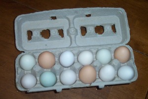 Assorted Eggs: 1 dozen