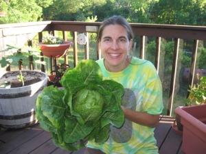 Heather's cabbage